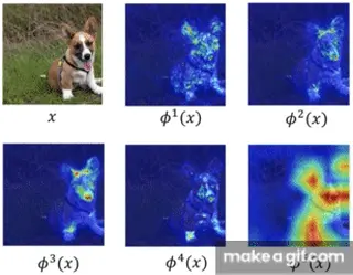 aggopt.webp